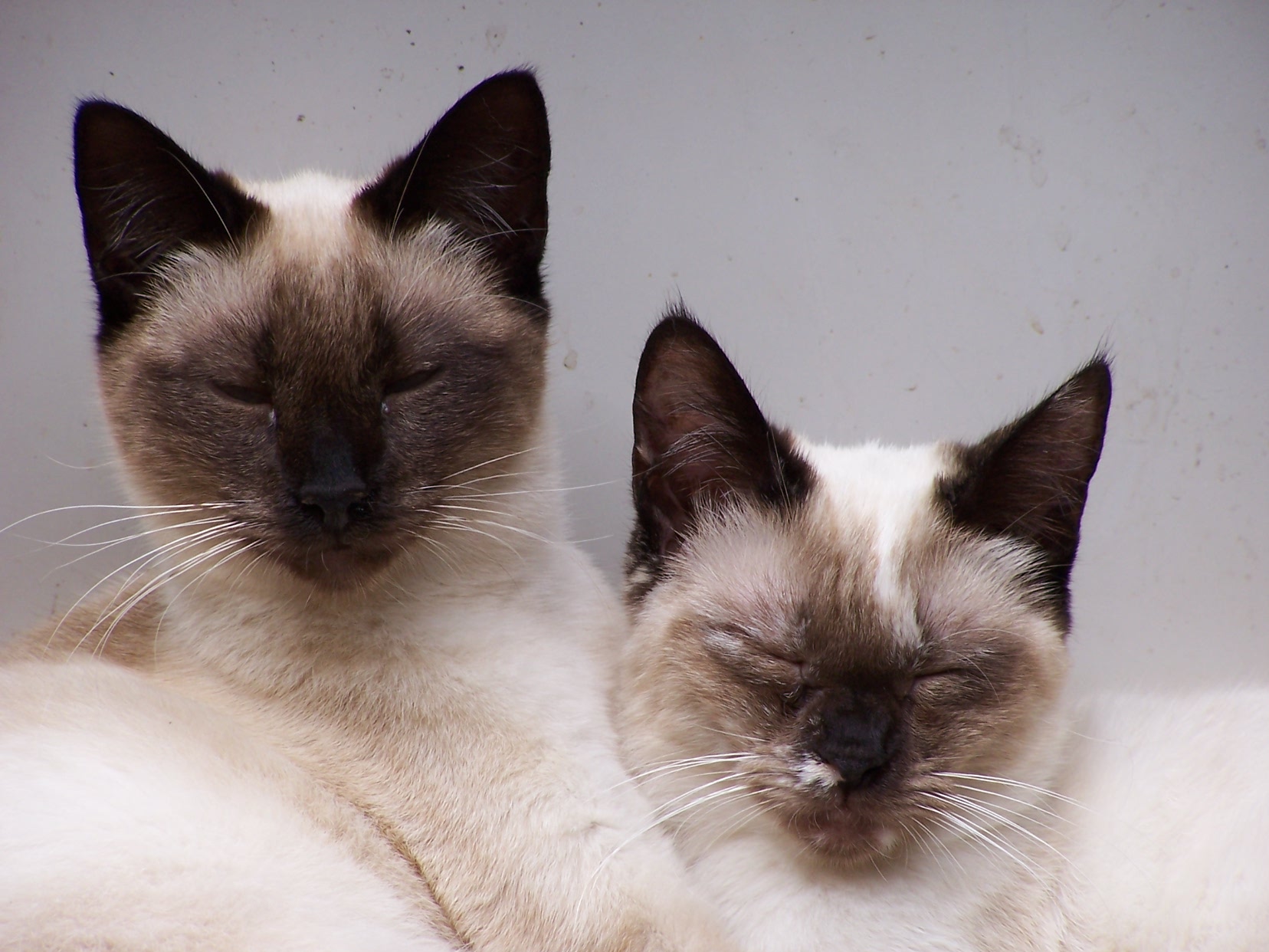 2276595771_0da56f2f68_o