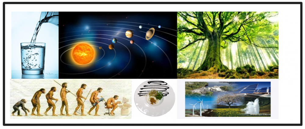 Projectes 1r D Institut Joan Oró