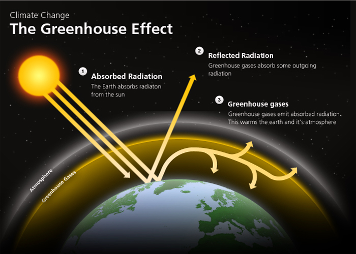 GREENHOUSE EFFECT