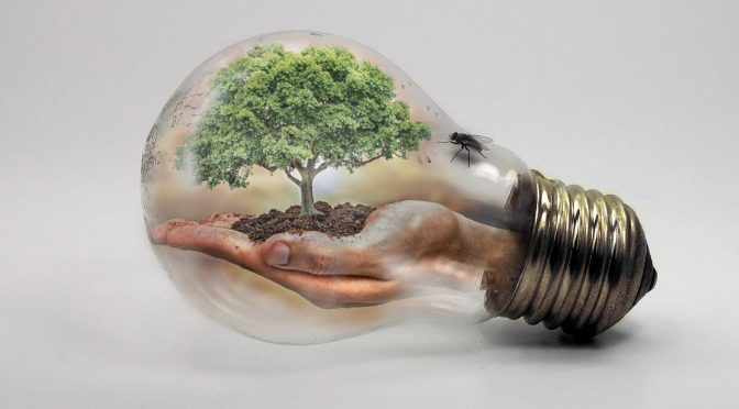 L’aprofitament de les eines TIC de la nostra classe