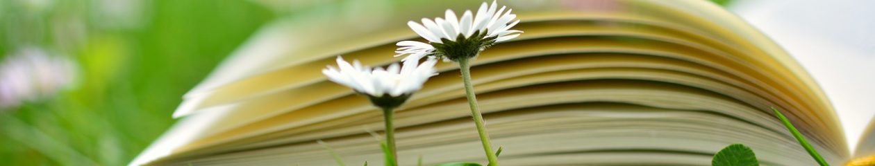 PUNTO Y SEGUIDO 2.º ESO   