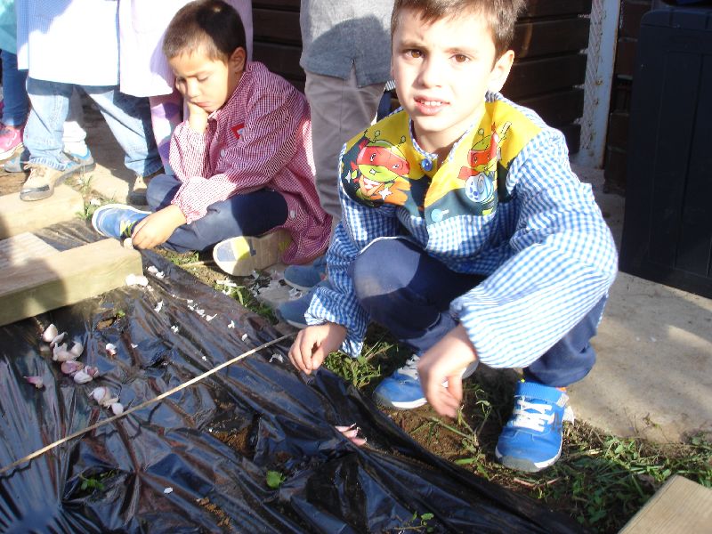 new_20_dsc05012