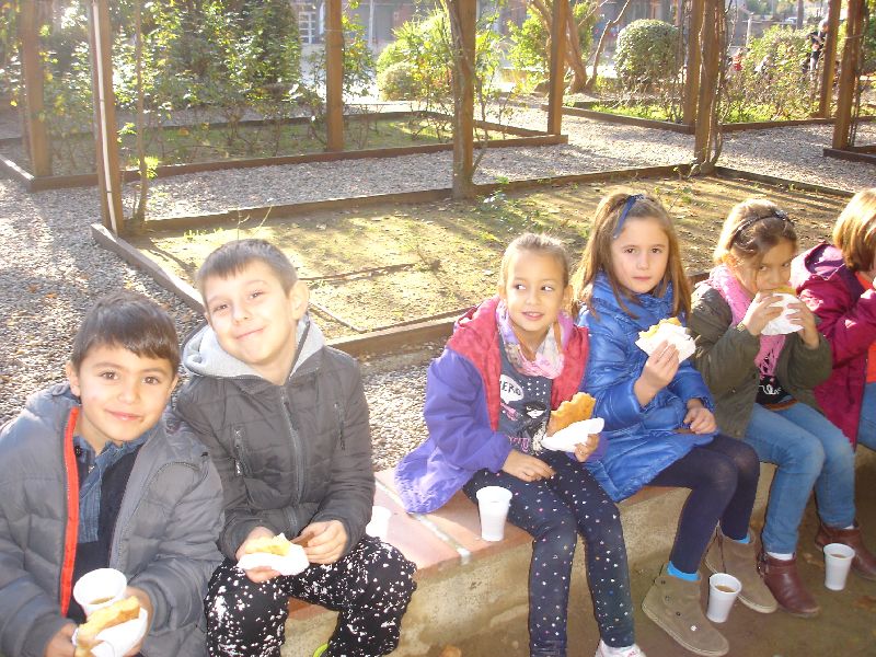 new_20_dsc06096