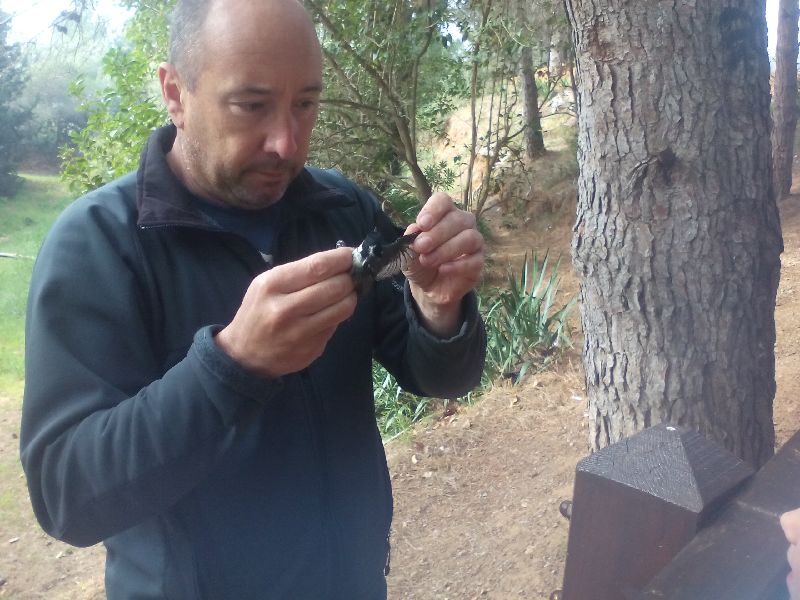 New_12_IMG_20160415_095129