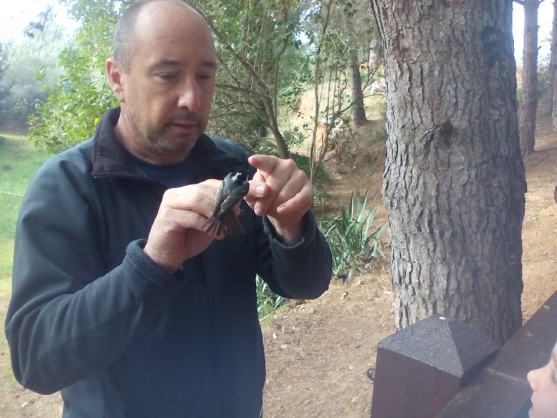 New_13_IMG_20160415_095131