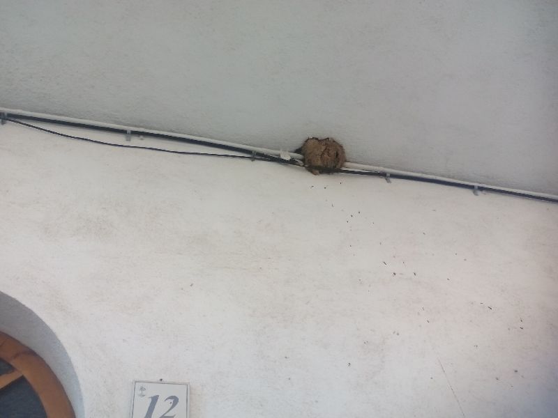 New_15_IMG_20160411_105004