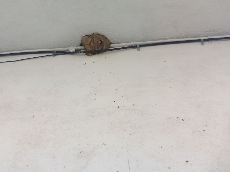 New_17_IMG_20160411_105217