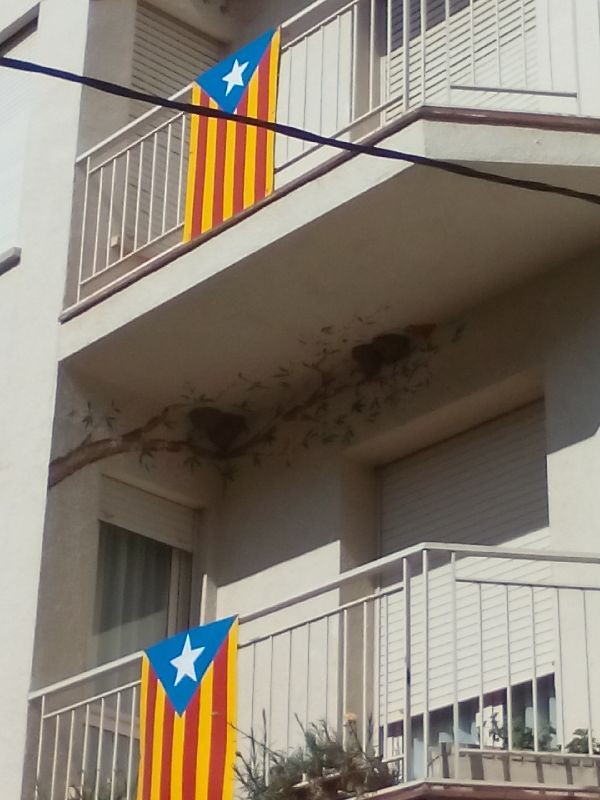 New_21_IMG_20160411_105944