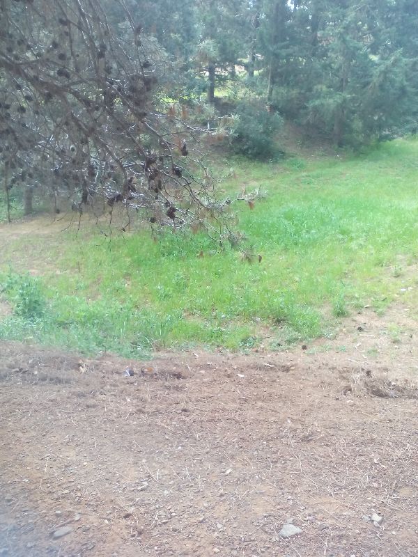 New_3_IMG_20160415_094959