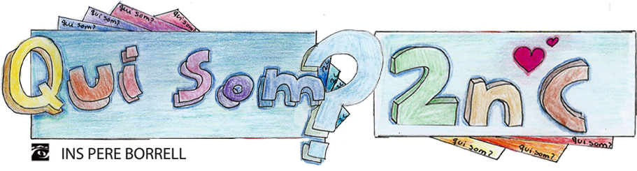 2n C Ins Pere Borrell