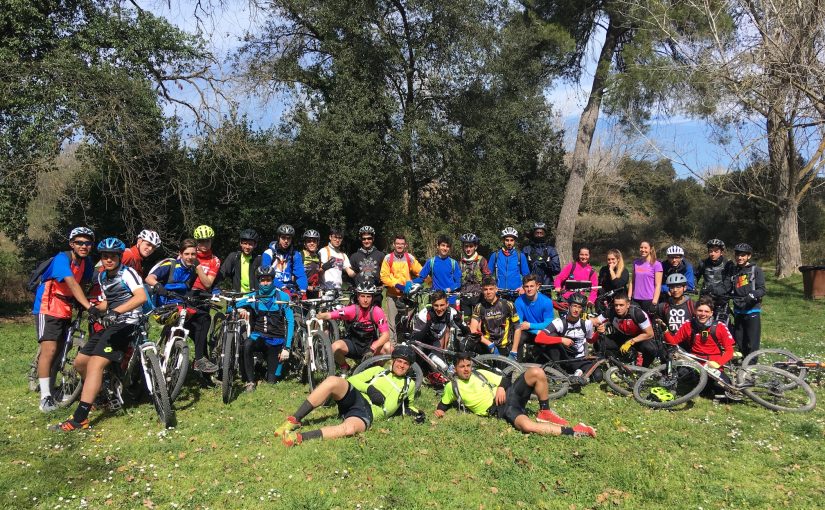 REVISANT CAMINS