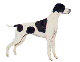 Pointer