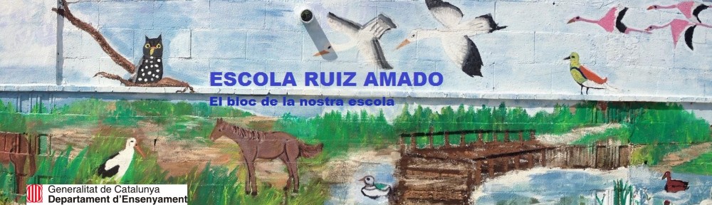 ESCOLA RUIZ AMADO