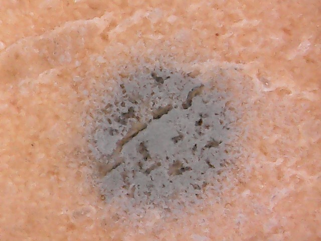 WIN_20171011_11_46_31_Pro