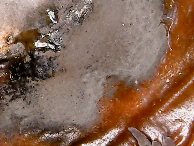 WIN_20171011_11_58_06_Pro