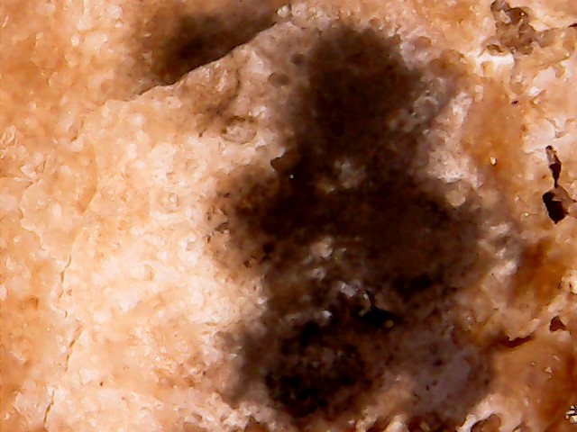 WIN_20171011_12_04_14_Pro