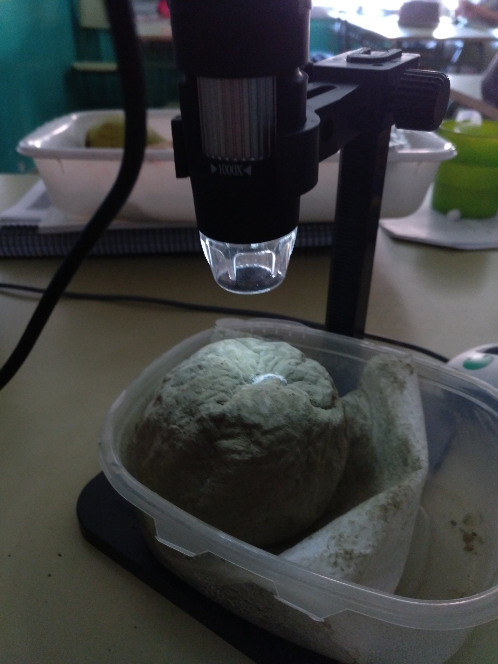 rsz_img_20171011_120806_310