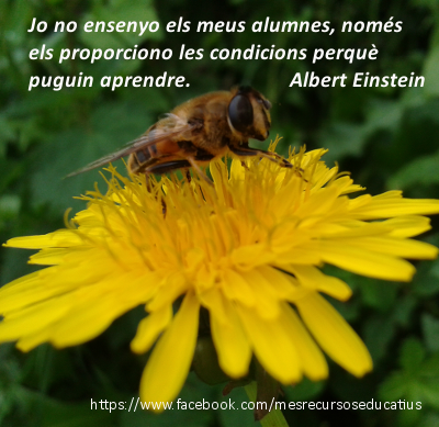 einstein