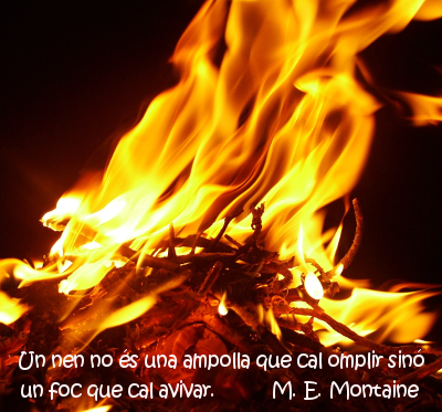 mantaine