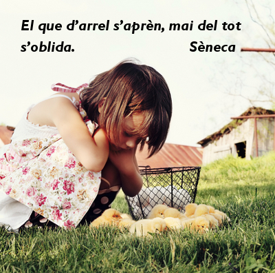 seneca
