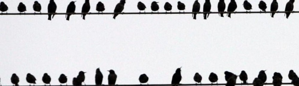 Músics a fer música!