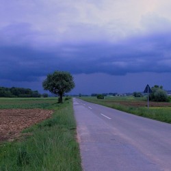 land2