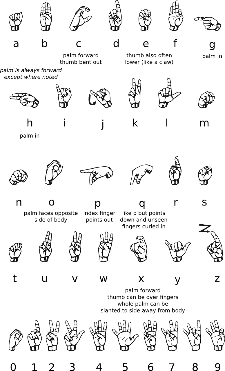 Llengua de signes