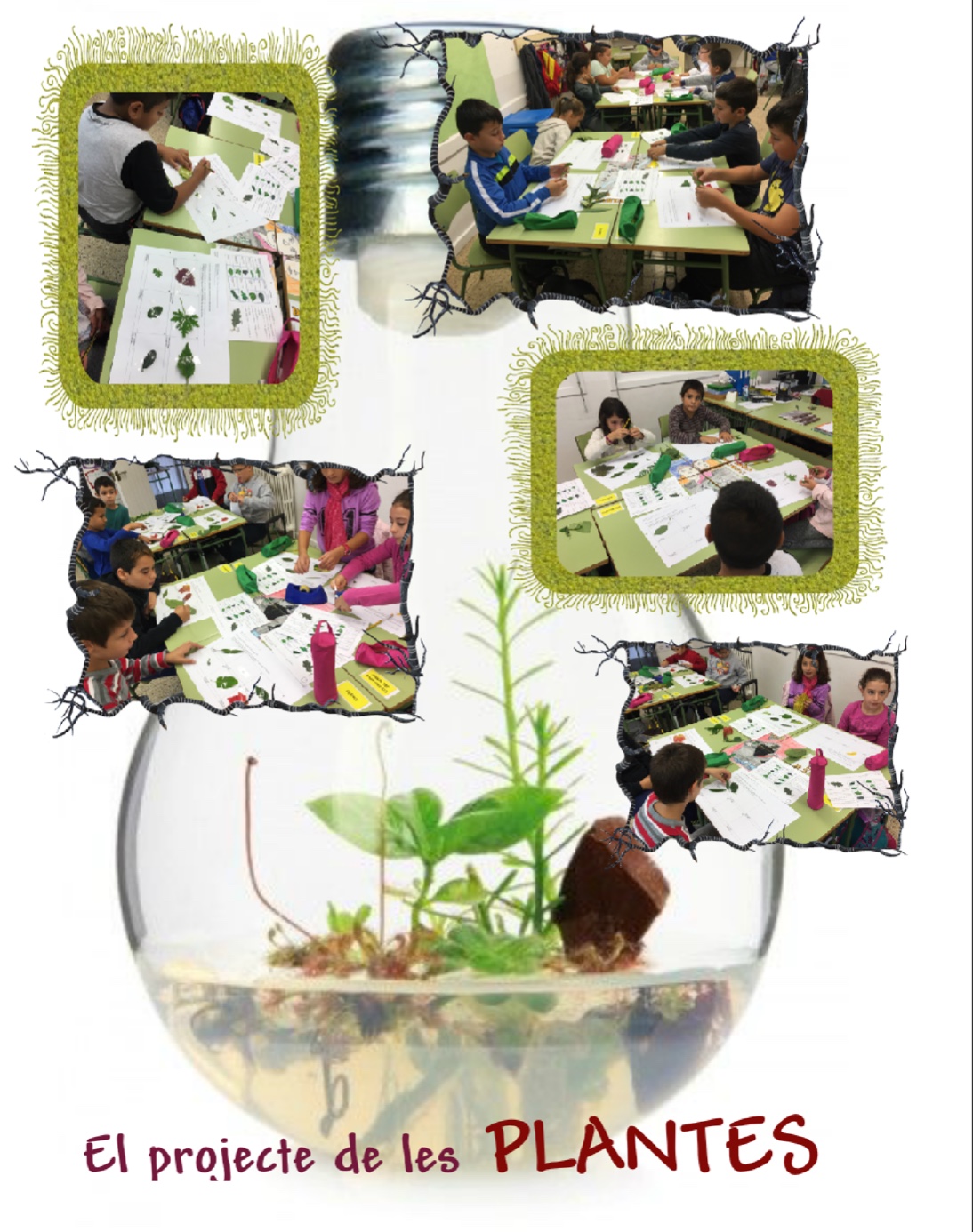 captura-de-pantalla-2017-03-10-a-les-20-00-22