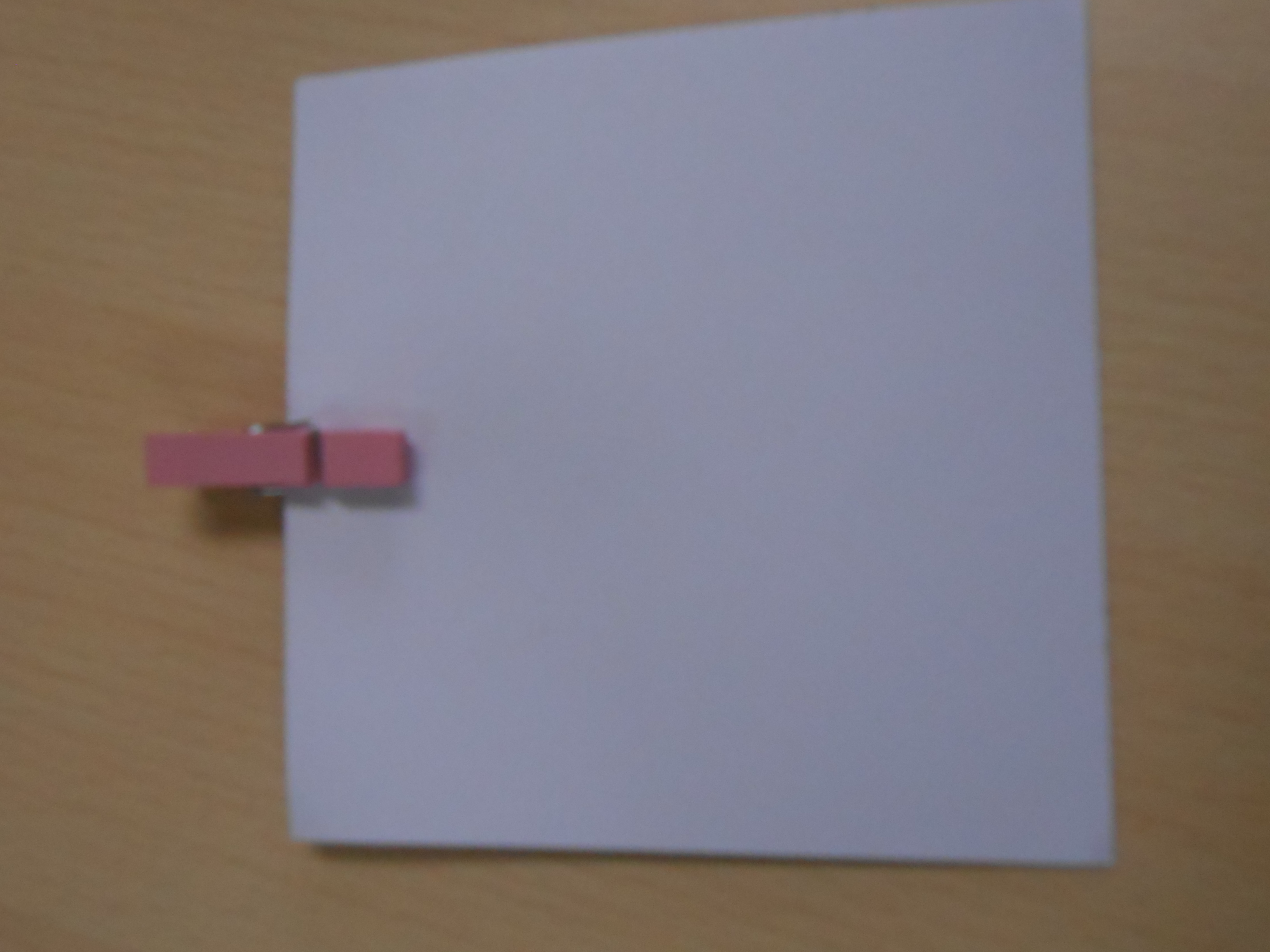 Pinça per la nevera