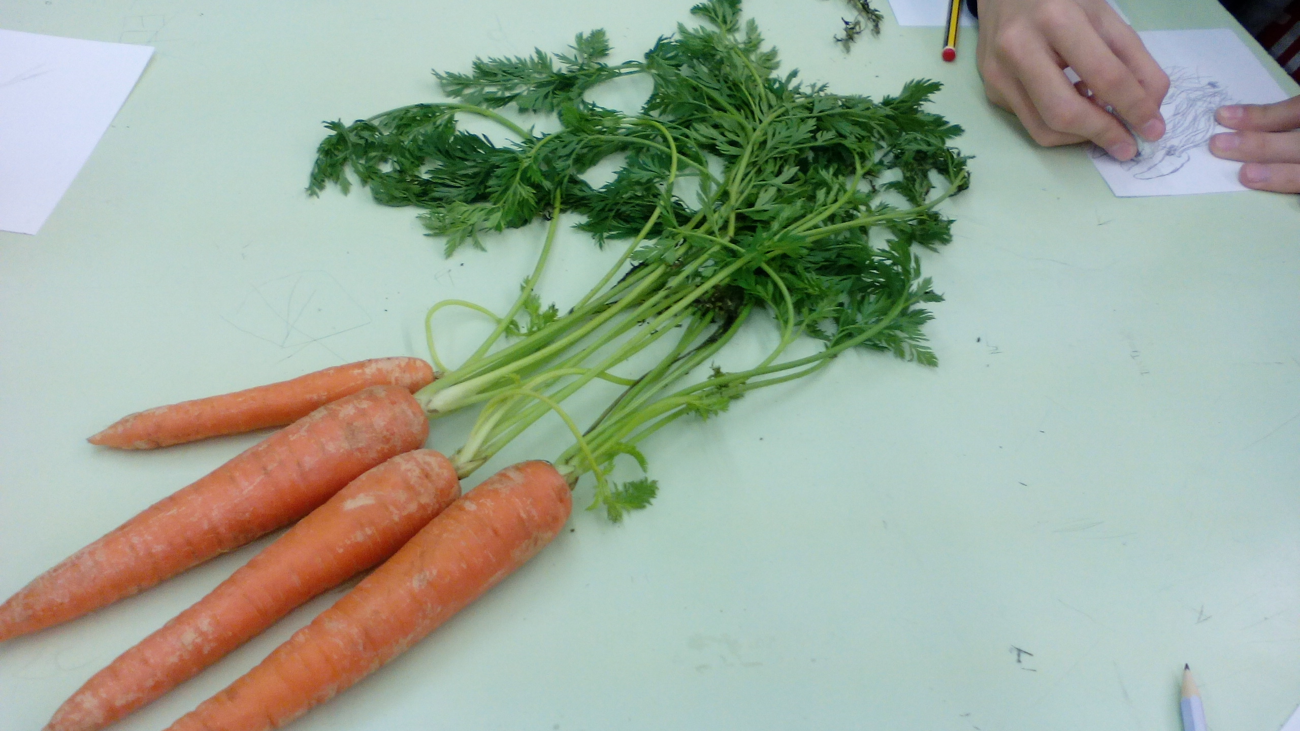 IMG_20180129_100456 (1)