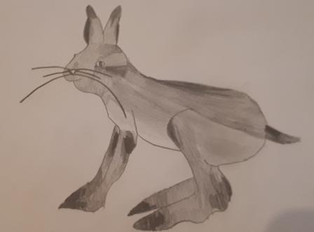 foto treball 8 de plàstica acabat