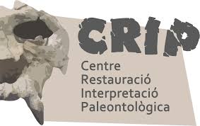 3r al Centre de Restauració i Interpretació Paleontològic – CRIP