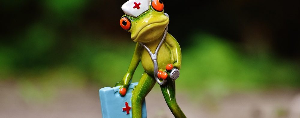 Una ullada a les cures