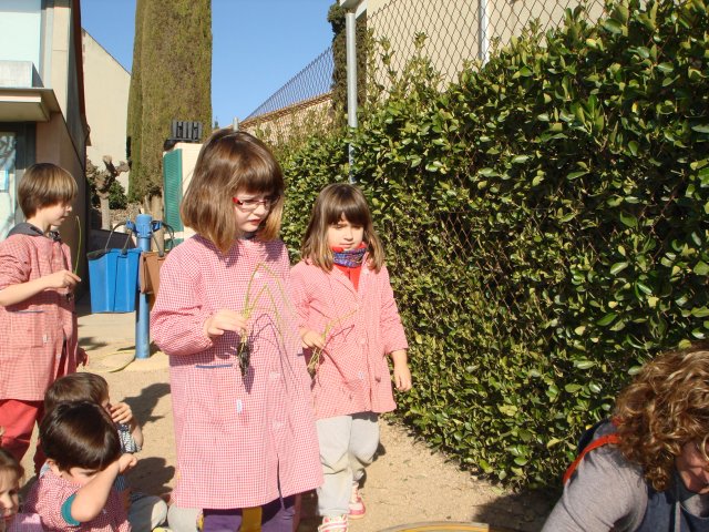 Dsc03559