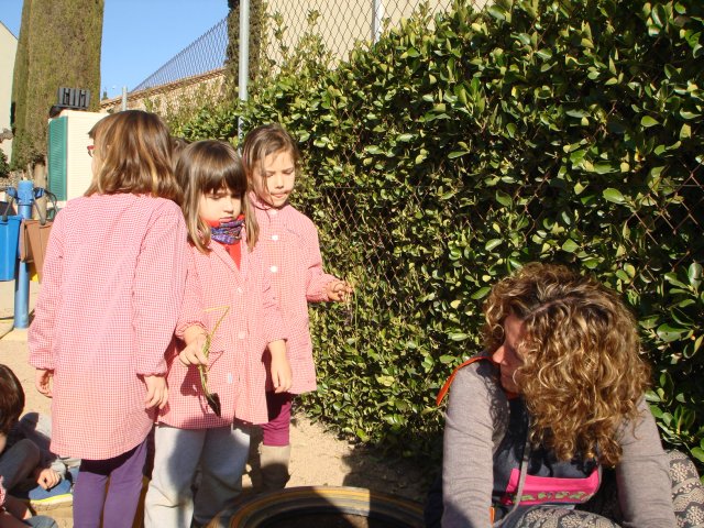 Dsc03560