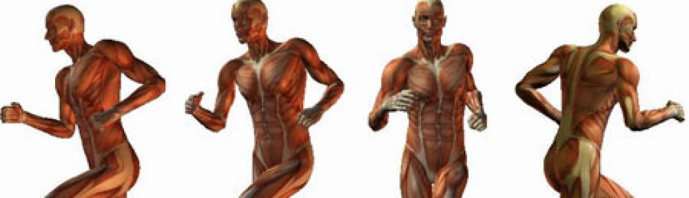 QUÈ ENS PASSA QUAN ENS MOVEM?