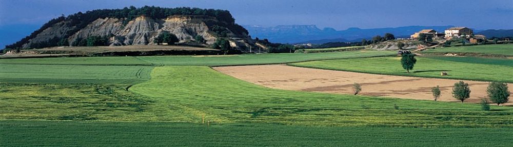 COM AJUDAREM A UNS TURISTES A CONÈIXER OSONA?