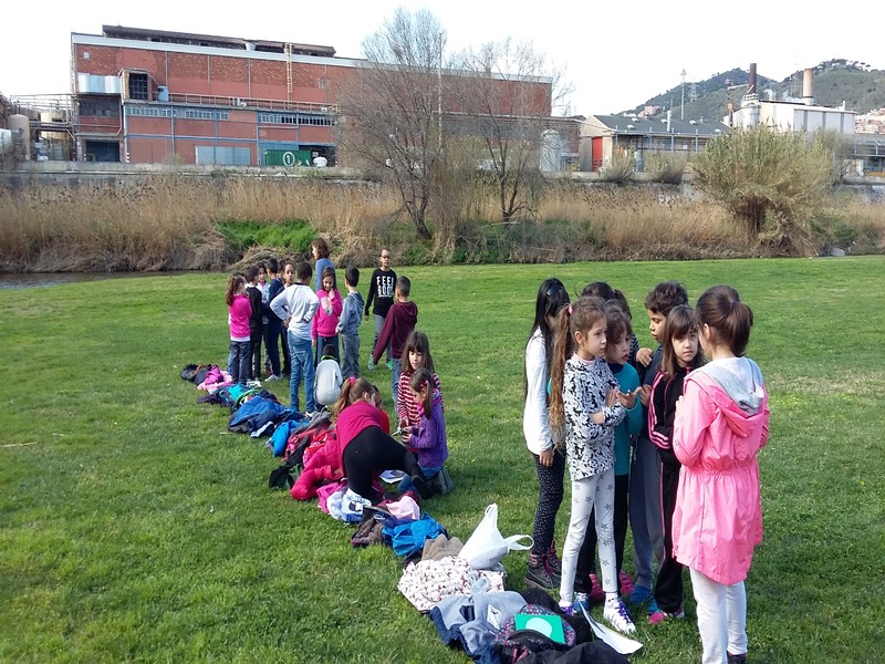 Ens organitzem per grups