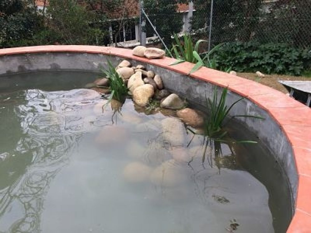  LA BASSA DE FONT D'EN FARGAS