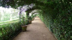 Pergola