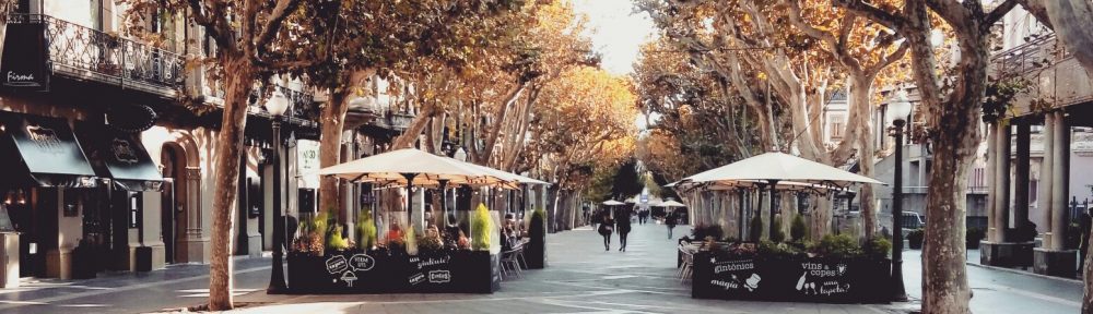 Xarxa de competències bàsiques