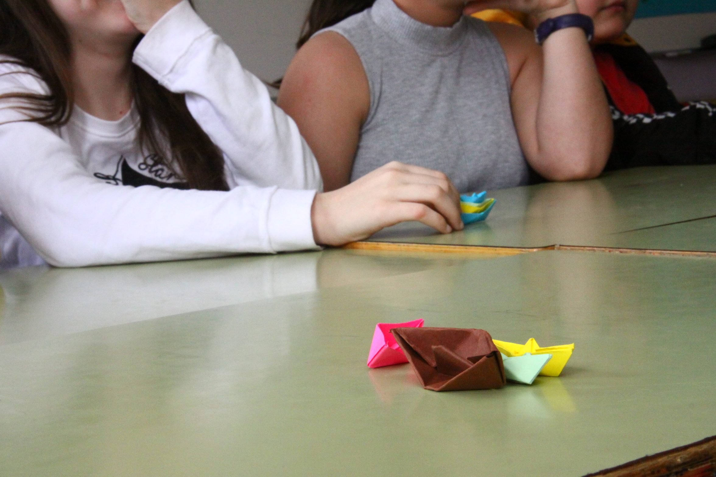PROJECTE 1r ESO (42)