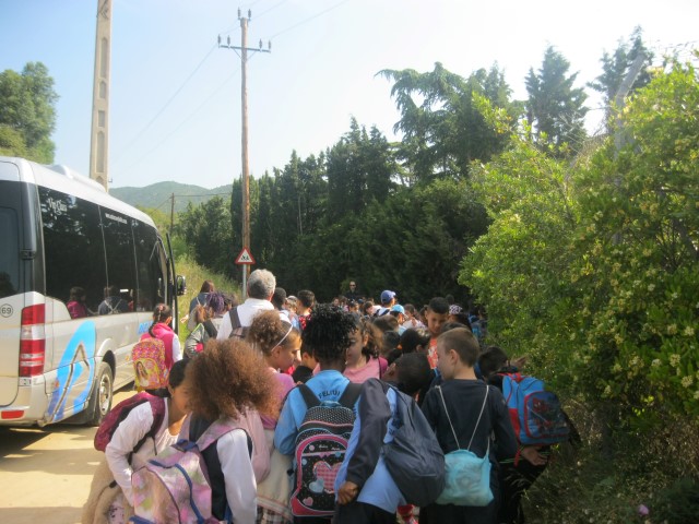 Imagen 001 (Small)