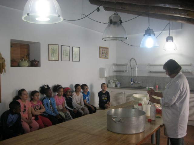 Imagen 042 (Small)