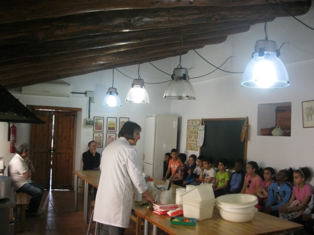 Imagen 043 (Small)
