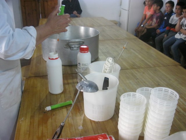 Imagen 044 (Small)