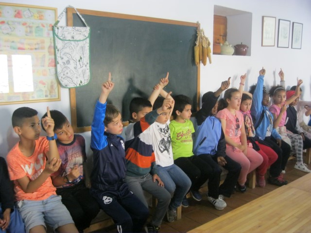 Imagen 046 (Small)