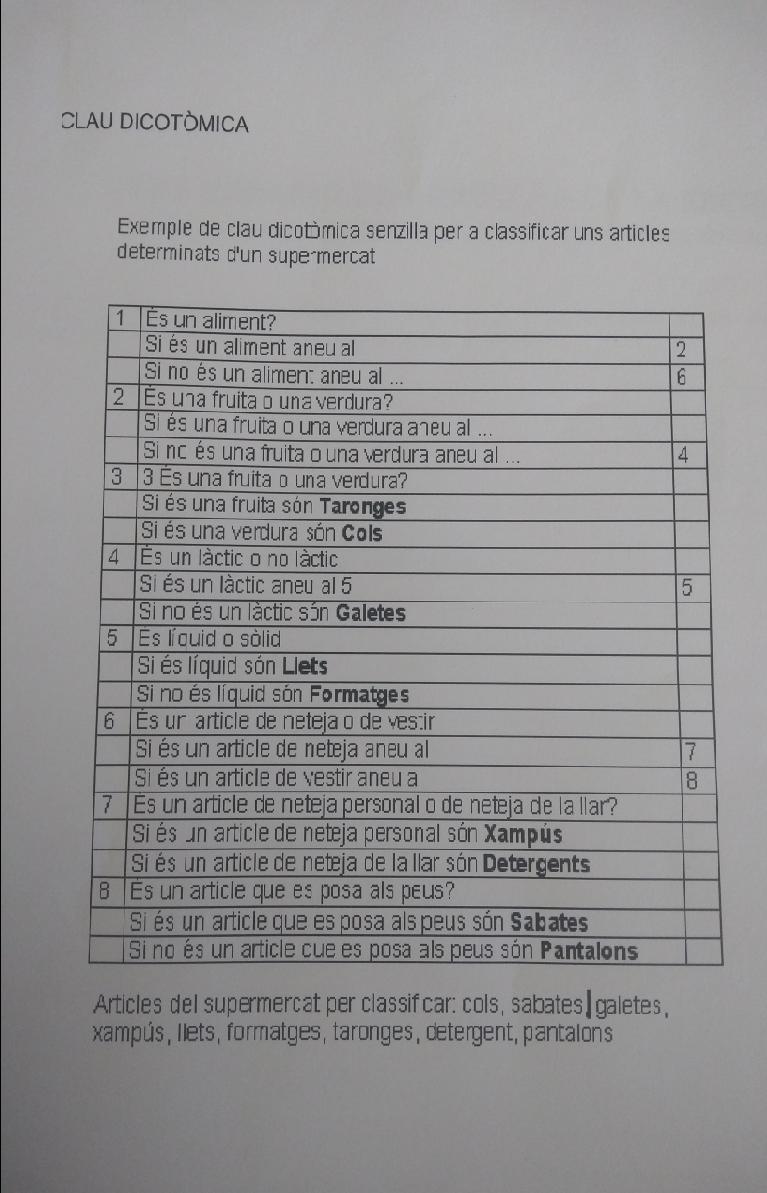 clau 1
