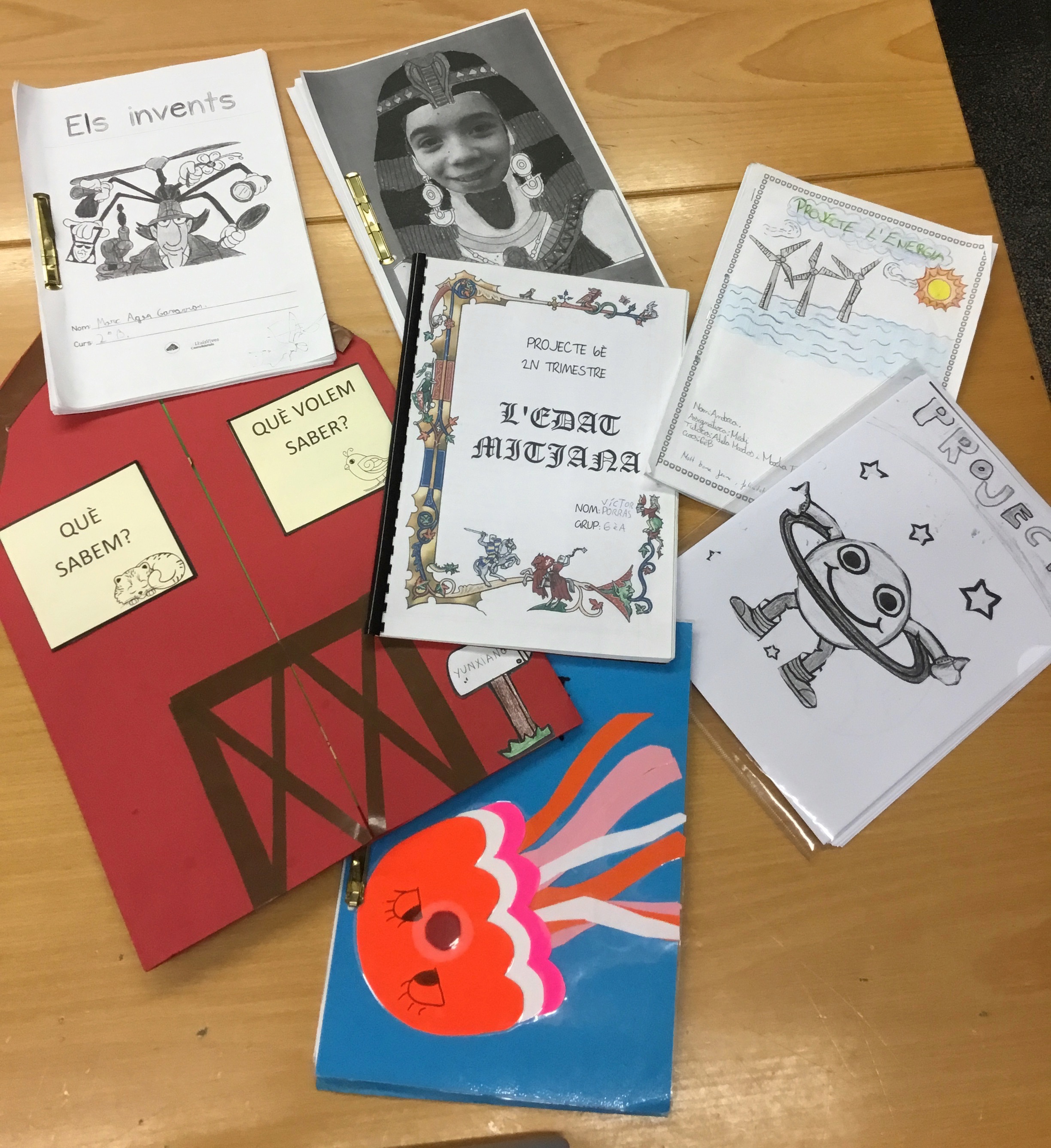 Projectes Lluis Vives