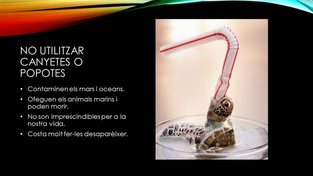 05CFDC13-C498-40DC-8E10-45EB3B09EBD9